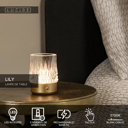 Lucide LILY - Lampe de table Rechargeable - Batterie/Piles - Ø 8 cm - LED 3 StepDim - 1x3W 2700K/3000K - Or Mat / Laiton - Ensemble de 3 - USP
